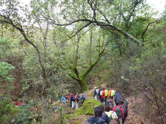 Umbrías y Bosque húmedo.JPG