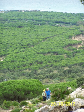 Excursión P.N. Estrecho. Bolonia (6).JPG