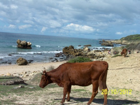 Excursión P.N. Estrecho. Bolonia (2).JPG