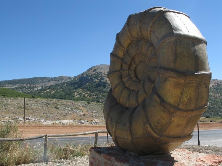 ammonite_ Centro Visitantes Santa_Rita_reduc.JPG