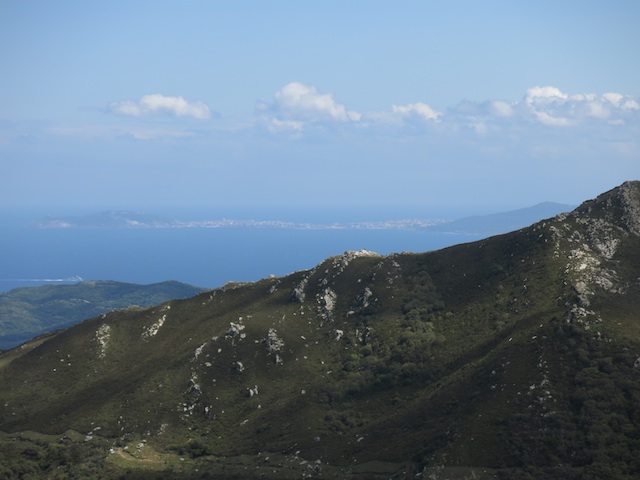 mayo IMG_1193.jpg